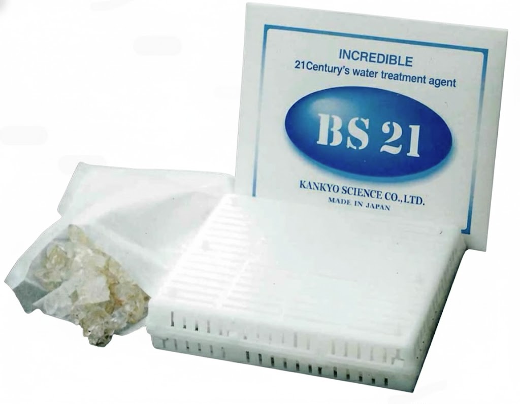 BS21